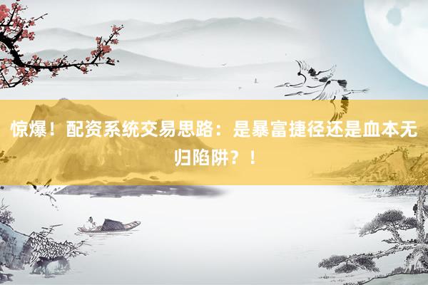 惊爆！配资系统交易思路：是暴富捷径还是血本无归陷阱？！