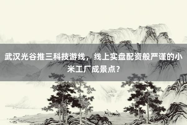 武汉光谷推三科技游线，线上实盘配资般严谨的小米工厂成景点？