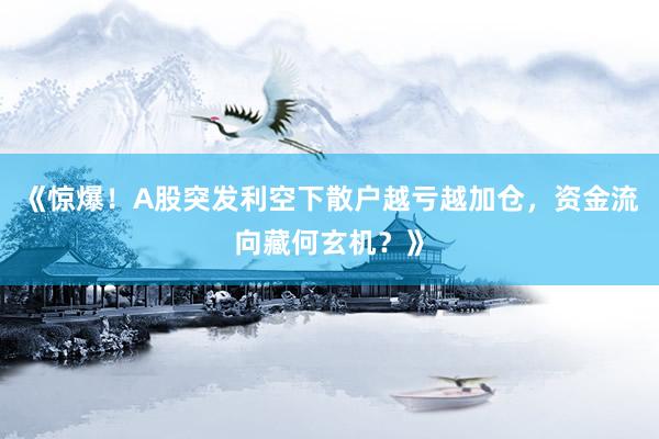 《惊爆！A股突发利空下散户越亏越加仓，资金流向藏何玄机？》